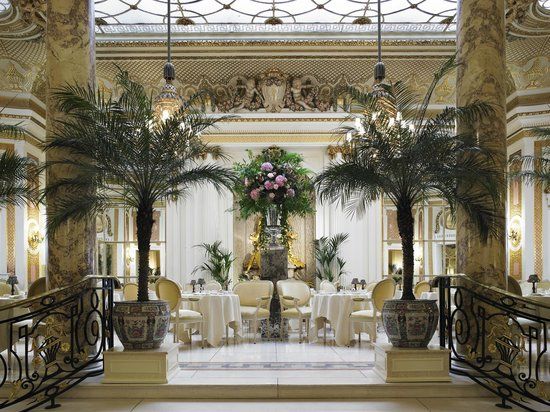 The Palm Court